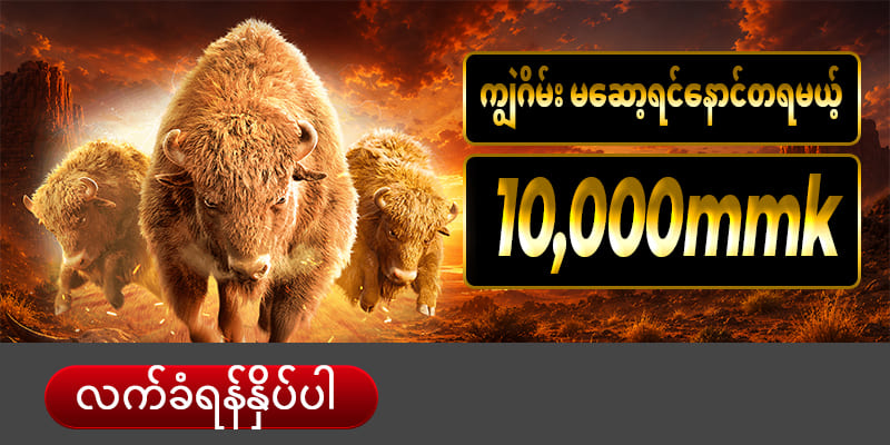 buffalo slot